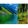 Nature at its Best