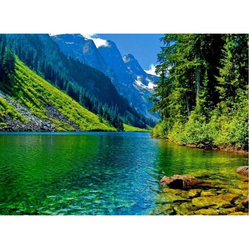 Nature at its Best