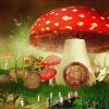 Mushroom House for Little Fairies