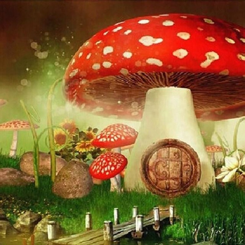 Mushroom House for L...