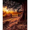 Autumn Evening Landscape