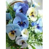 Floral Diamond Painting Kit