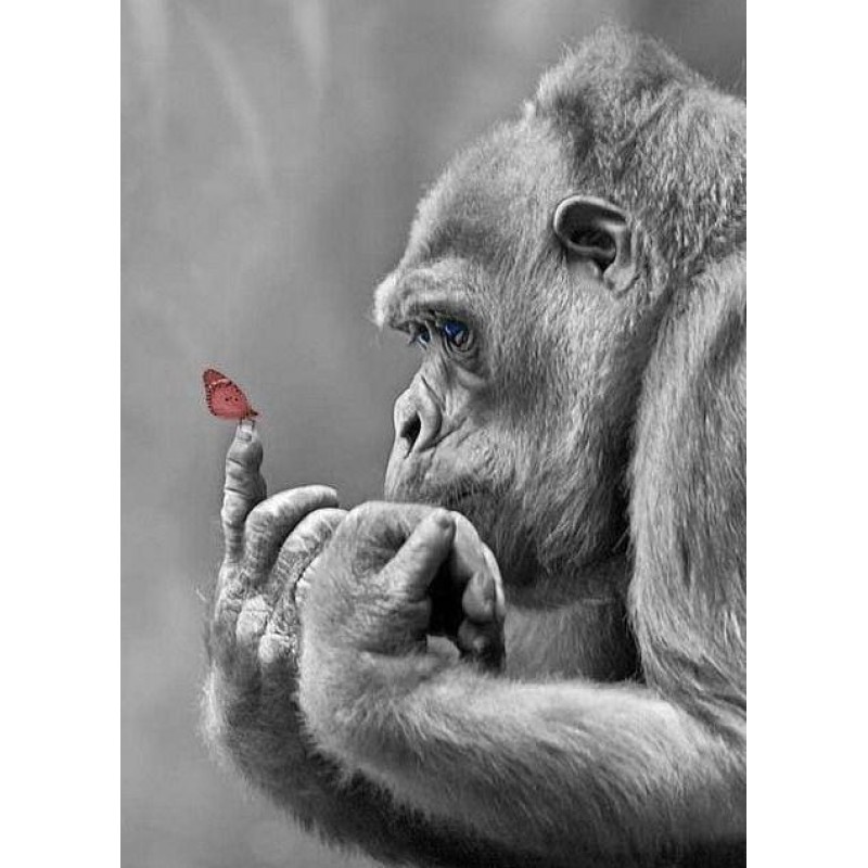 Gorilla & Butter...