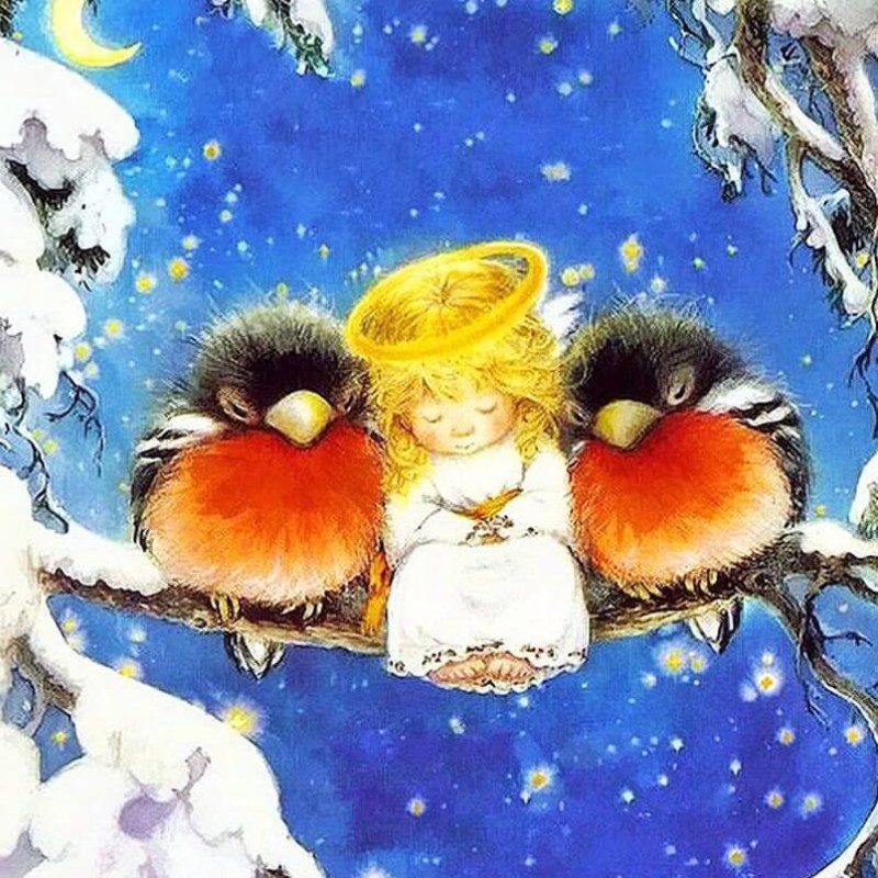 Birds & Little A...