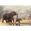 Elephant Family Diamond Painting