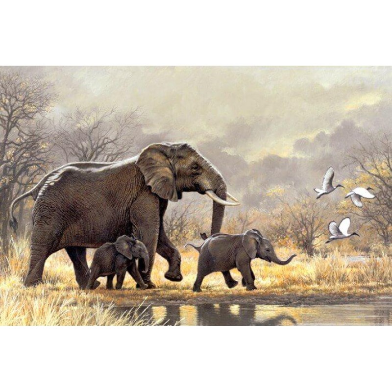 Elephant Family Diam...