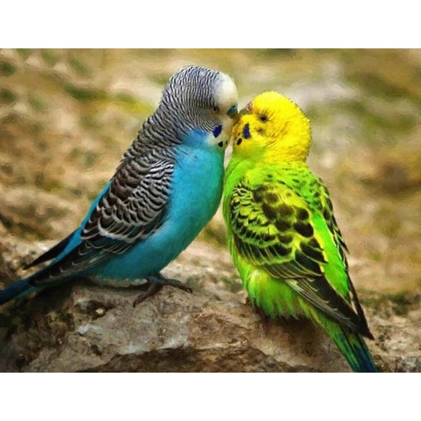 Australian Parrots Diamond Painting