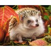 Autumn Hedgehog Painting Kit
