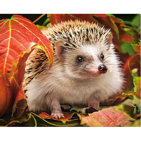 Autumn Hedgehog Painting Kit