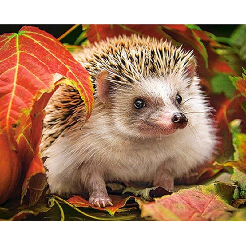 Autumn Hedgehog Painting ...