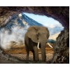 Elephant in the Cave