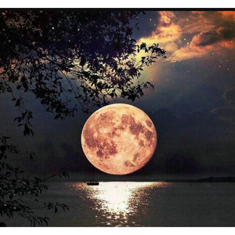 Moon by the Sea