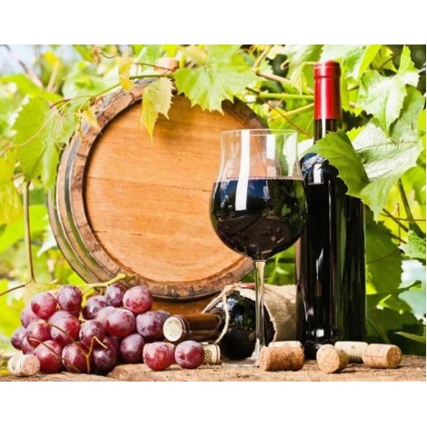Grapes & Wine Painting Kit