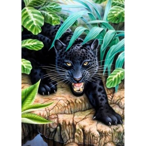 Black Leopard in the Forest