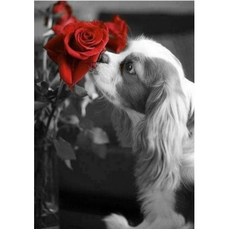 Marvelous Collection DIY Diamond Paintings
