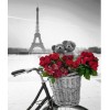 Marvelous Collection DIY Diamond Paintings