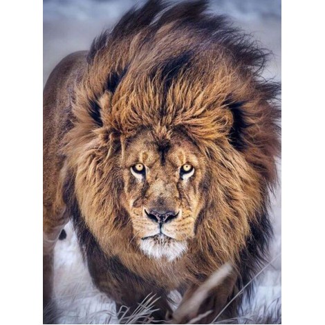 Furious Lion Diamond Painting