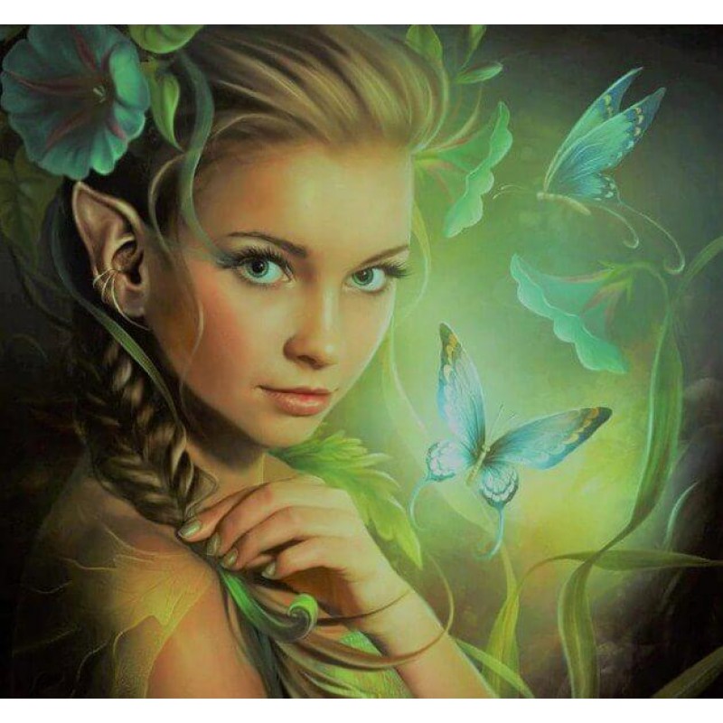 Beauty & Butterf...