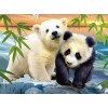 Cute Panda & Polar Bear