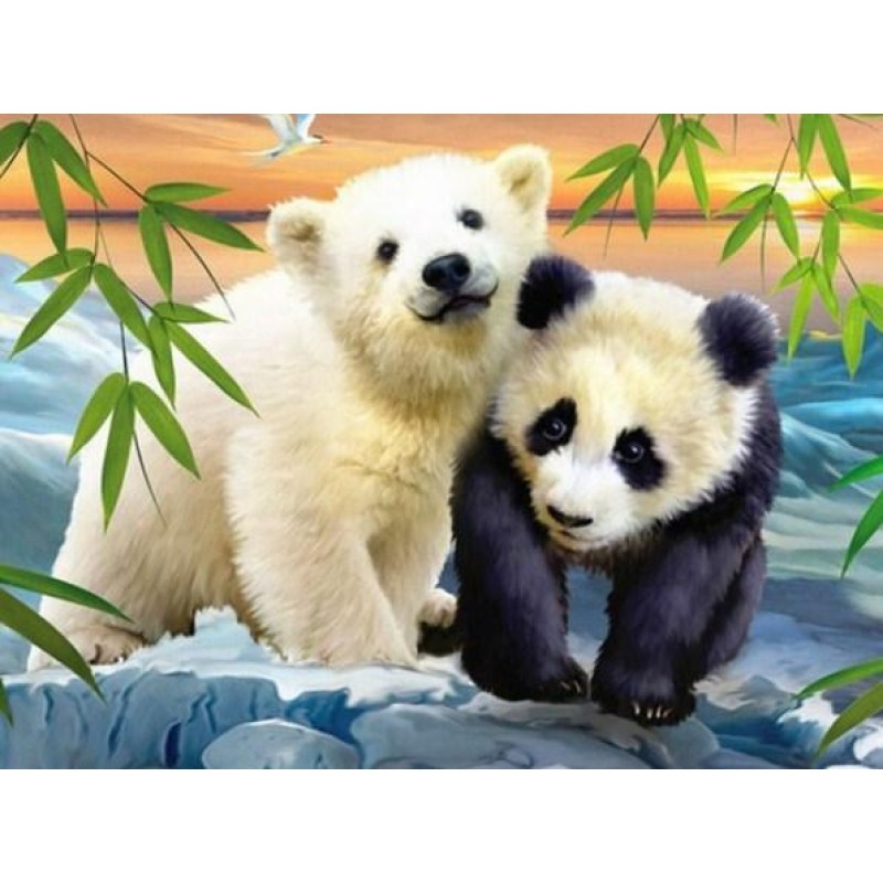 Cute Panda & Pol...