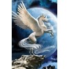 Flying Horse - Paint by Diamonds