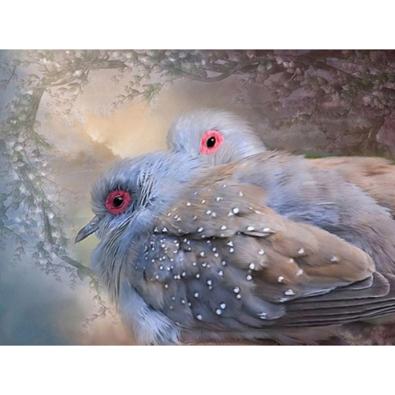 Lovely Dove Pair Dia...