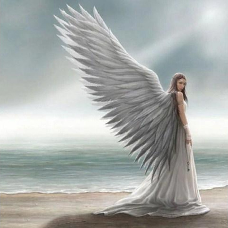 Angel with Beautiful Wing...
