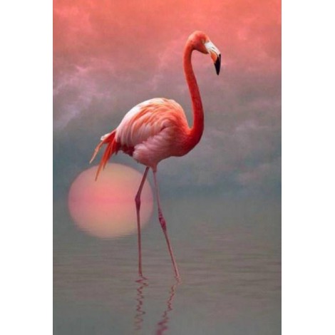 Lonely Flamingo & Setting Sun