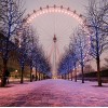 London Beauty Diamond Painting Kit