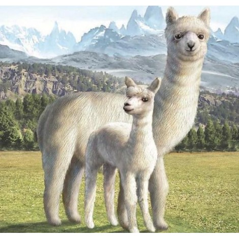 Llama - Paint by Diamonds