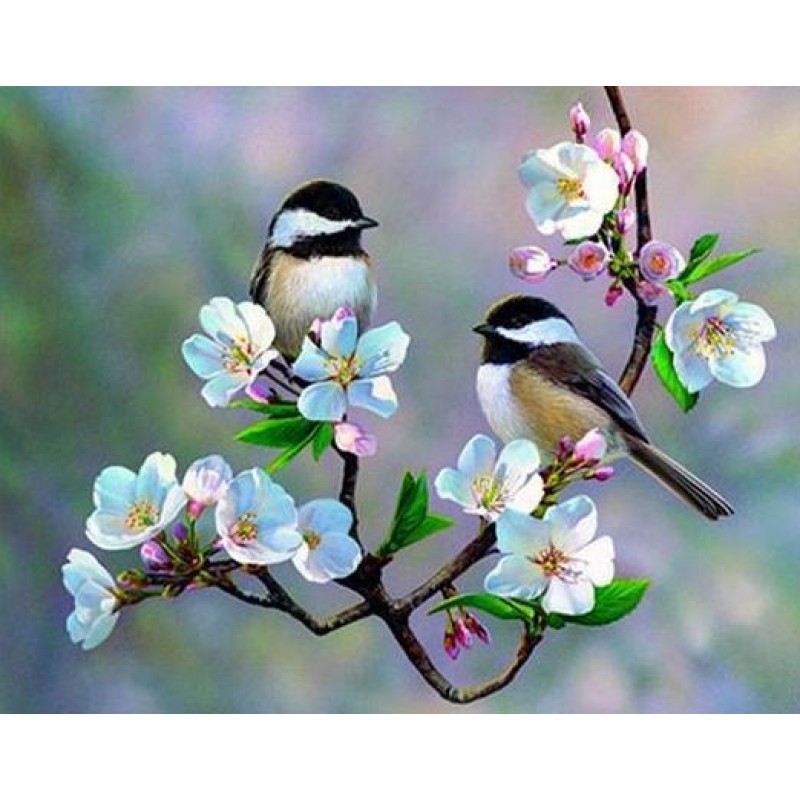 Little Sparrows on W...