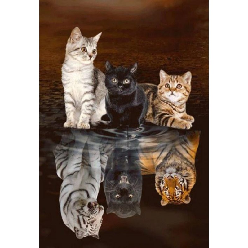 Little Cats Dreaming...