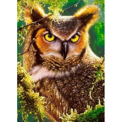 Gazing Owl - Paint by Diamonds