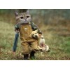 Funny Gangster Cat & Puppy