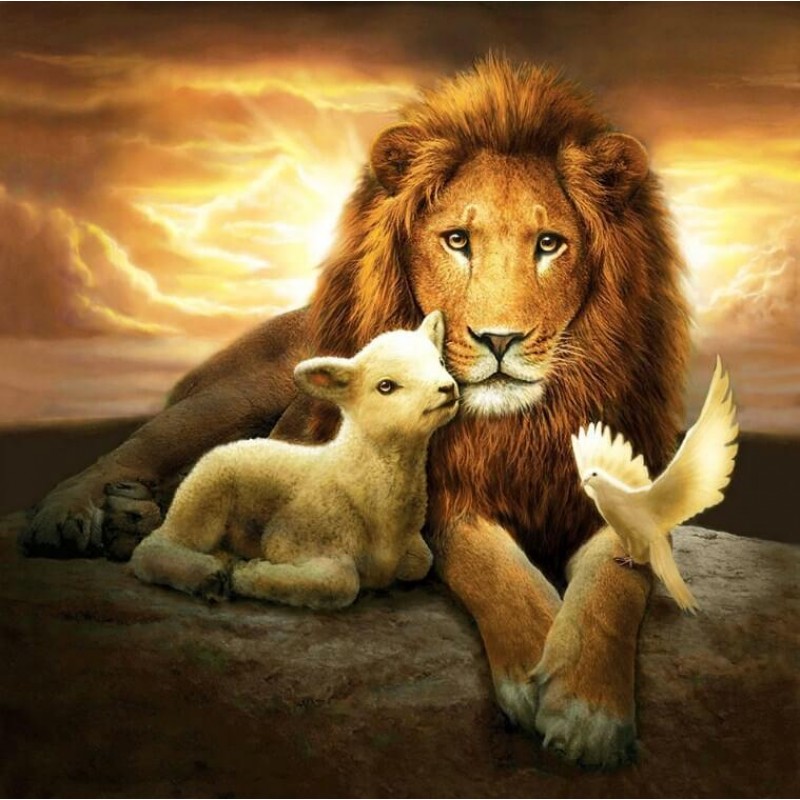 Lion, Lamb & Pig...