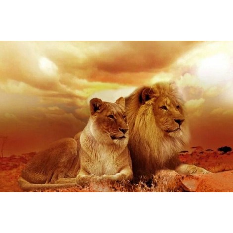 Lion Pair in the Desert