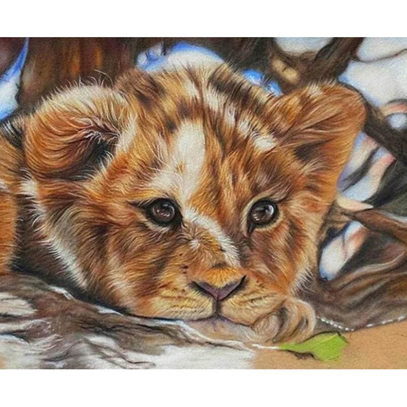 Lion Baby Diamond Pa...