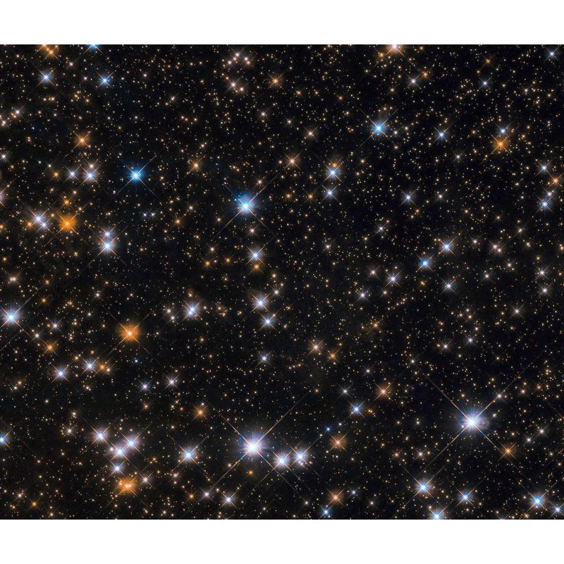 Flock of Cosmic Duck...