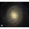 Cool Galaxy with a Hot Corona
