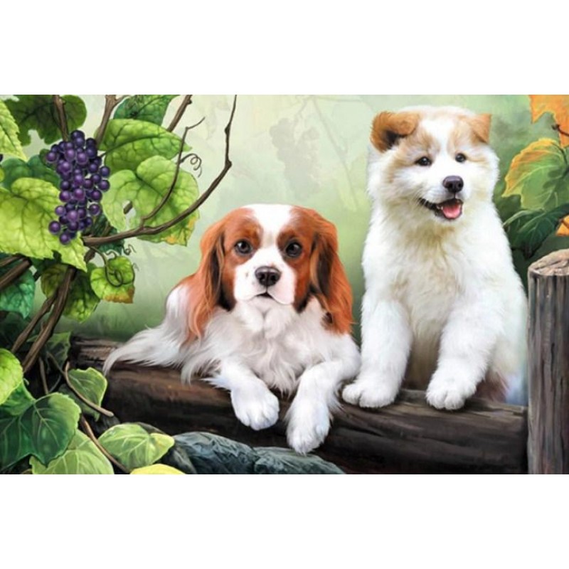 Cute Dogs & Bunc...
