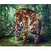 Leopard in the Forest