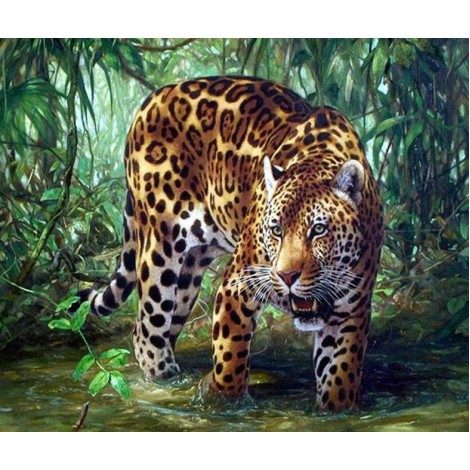 Leopard in the Forest