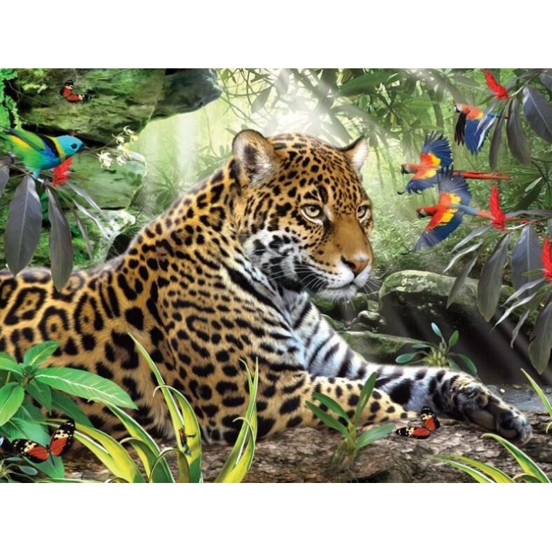 Leopard & Africa...