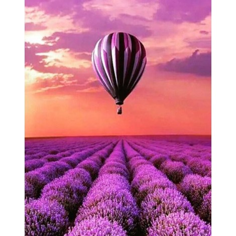 Lavender Fields & Air Balloon