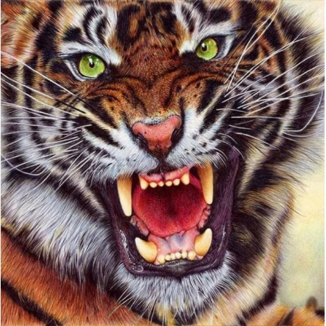 Angry Tiger - Paint by Diamonds