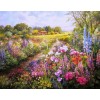Field of Colorful Flowers