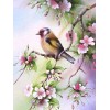 Bird Sitting on Pink Floral Branch