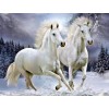 Wild Horses - Paint by Diamonds