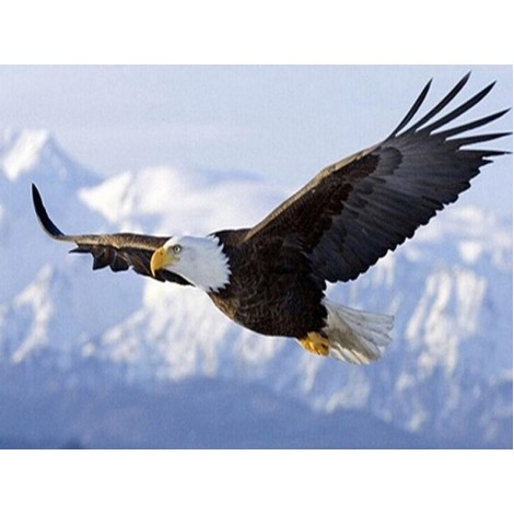 Flying Bald Eagle - Paint by Diamonds