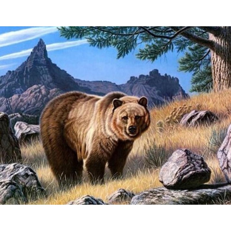 Gazing Bear - Paint ...